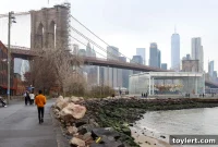 Daily Links on New York’s Flattening COVID Curve