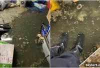 Flatbush’ta Lağım Suyu Bodrumu Bastı: Ev Sahibi Belediyeden Çözüm Bekliyor