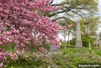 Green-Wood Cemetery: Spring’s Arboreal Artistry Tour