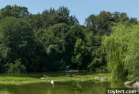 Help Us Get Prospect Park Ready for a Vibrant Summer