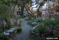 Brooklyn Hospital Center Advances Fort Greene Park Development