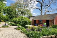 Year of Ignored Leaks Leads to NYCHA Ceiling Collapse in Crown Heights