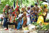 Rhythmic Revival: The 3rd Annual Minokan Festival Ignites Wyckoff House with Music and Dance