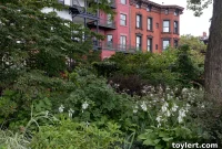 Bushwick’s Innovative Theater Unveils New Post-Pandemic Performance Home