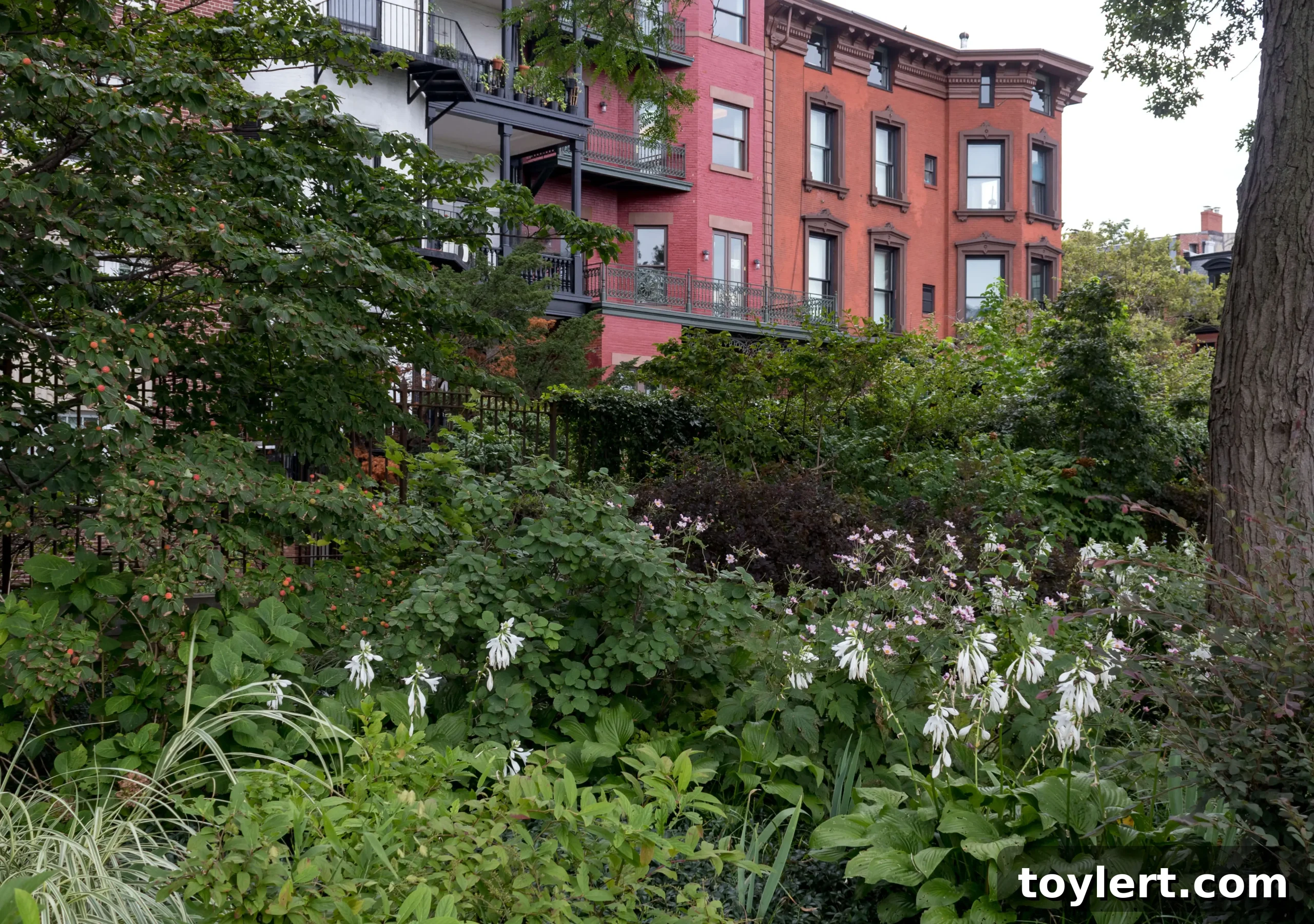 featured 439745 scaled