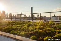 Sky-High Sustainability: Green Roofs Tackle Rainfall at Brooklyn Navy Yard
