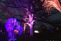 Lightscape Transforms Brooklyn Botanic Garden