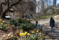 Community Salutes Brave Citizens in Sunset Park Subway Arrest