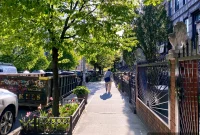 Unexpected Twists Force Family Attorney to Abandon Crown Heights Deed Theft Suit