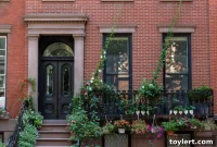 Eli Karp’s Hello Living Fights for Flatbush Project