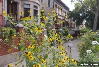 Fortis’ Cobble Hill Condos Face Foreclosure Post-Development War