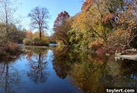 Prospect Park’s Green Debut: First City of Forest Day This Weekend