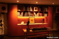 Tower Records’ Williamsburg Renaissance: A New Creative Music Hub