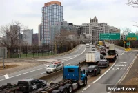 Brooklyn Trees Endangered by Park Budget Cuts