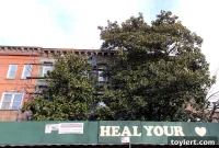 Community Rally: Gbenga Akinnagbe, Bed Stuy Leaders Fight to Save Magnolia Tree Earth Center