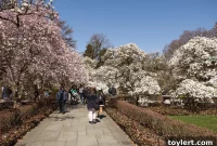 Your Online Orders Could Fund BQE Repairs