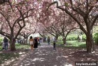 FCC Reverses Stance, Mandates Environmental and Historic Reviews for 5G Towers