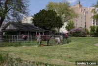 New York’s Unaffordable Truth: Half of Residents Struggle for Essentials