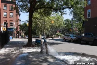 Brooklyn Battles Crossing Guard Cuts For Child Safety And Jobs