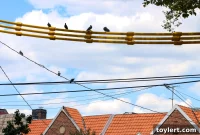 City Housing Migrants in Rec Center Sparks Sunset Park Protests