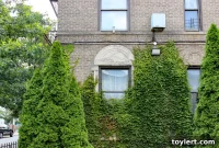 Jail’s Polar Vortex Ordeal Sunset Park Inmates Land $10 Million Settlement