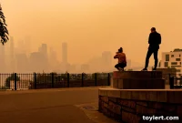 Brooklyn’s Scorching Summer: Climate Change Reality Hits Home