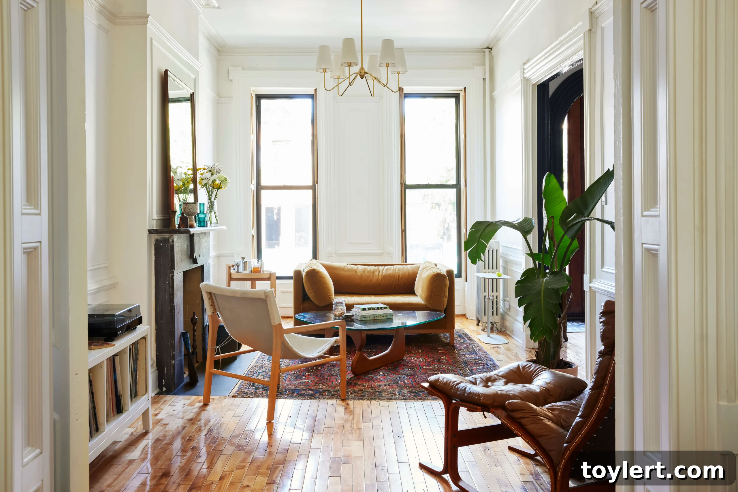 featured 505510 scaled