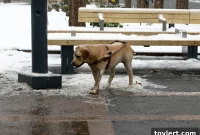 Governor Paves Way for Sky-High Development, Grants Developer Tax Breaks