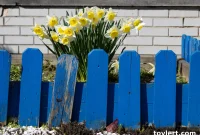 Prospect Park Daily Mental Wellness Outreach