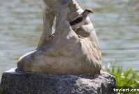 From Boutique Dream to Shelter Reality: Clinton Hill’s Linotype Factory Transformation
