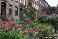 Brooklyn Home Prices Soar to New Records