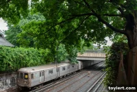 Subway Delays Skyrocket Due to Trees on Tracks