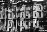 Brooklyn Brownstone Renaissance: The New Chapter of Urban Elegance