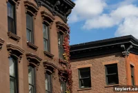 Desert Island Comics Plants Roots with 10-Year Williamsburg Lease