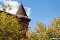 City Scraps $308 Million No-Bid Deal With Brooklyn Nonprofit