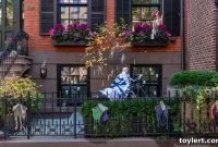 Red Hook Redevelopment Moves Ahead, Sidestepping City Council