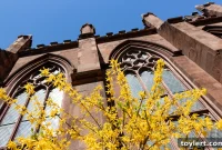 Last-Mile Hubs Face New Permit Rules Over Traffic & Air Pollution