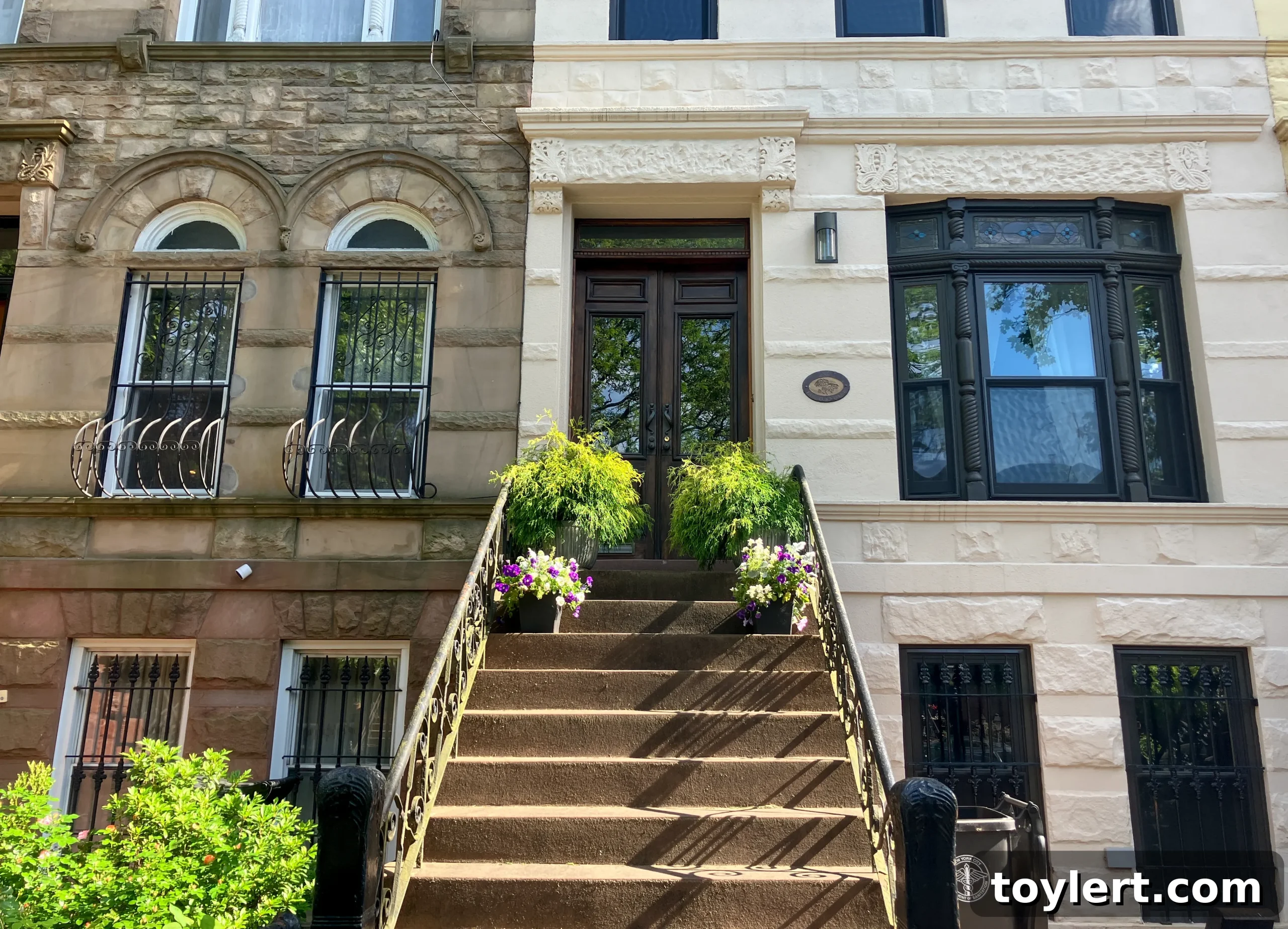 featured 555346 scaled