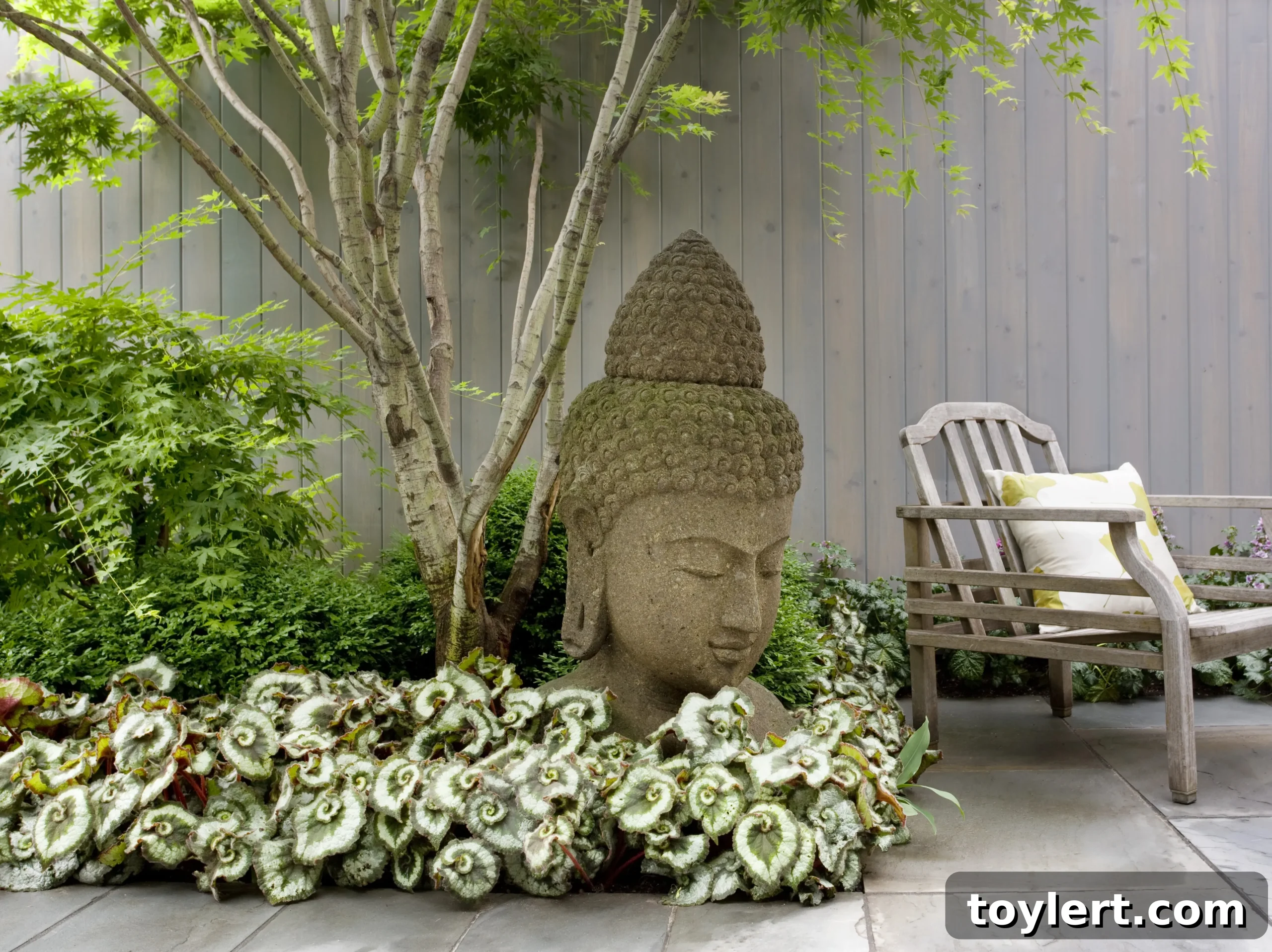 featured 557843 scaled