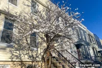 First Snow Fallout: Treacherous Ice Forms as Temperatures Plummet to Teens