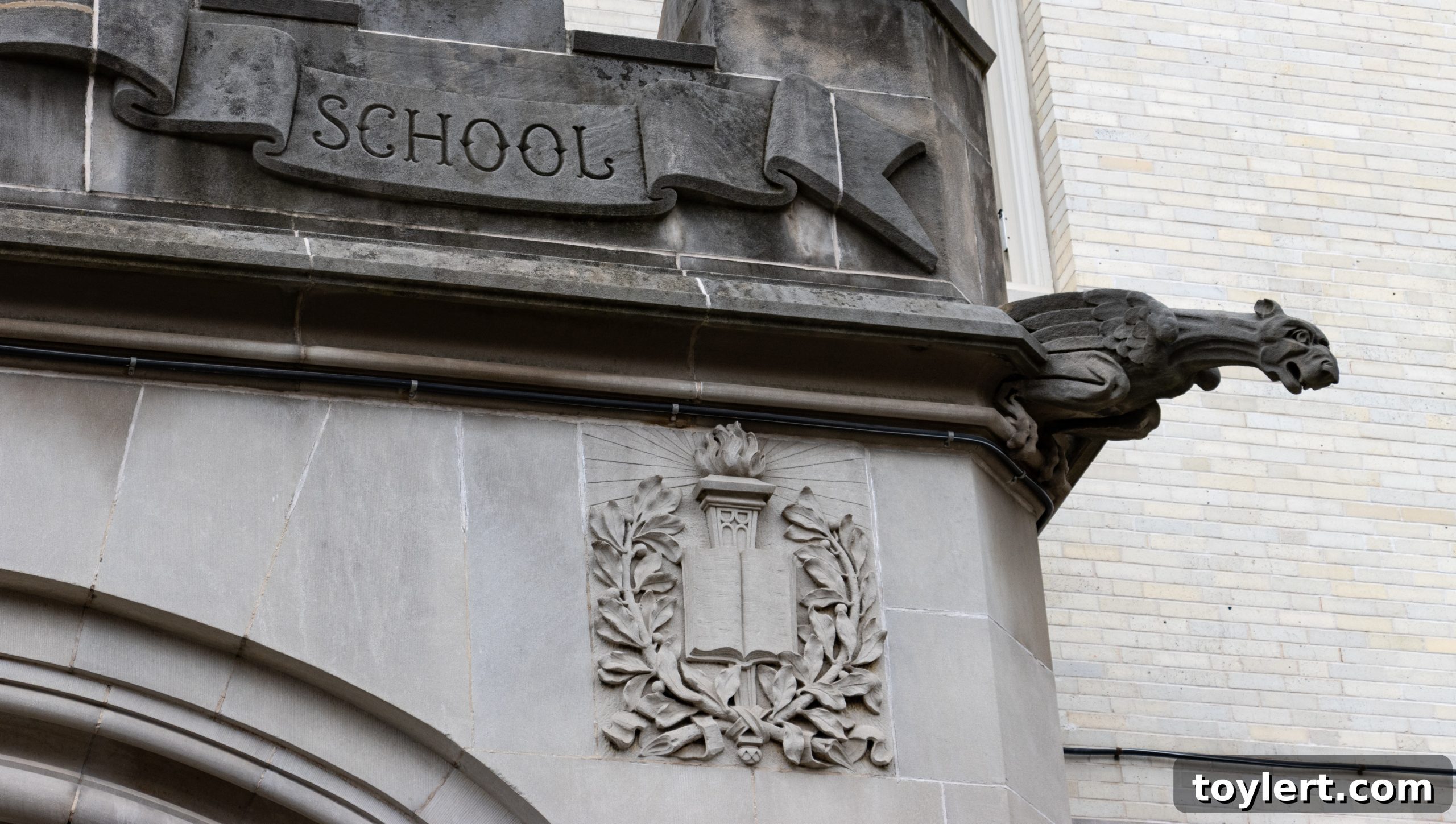 featured 579595 scaled