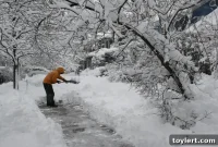 Brooklyn Rallies to Support Neighbors Amidst Blizzard