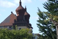 92 Herkimer Street Daily Highlight