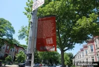 NYT’s Brooklyn Deep Dive: Cobble Hill and Prospect Lefferts Gardens