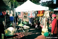 Smorg’s Grand Pumpkin Carve Finale