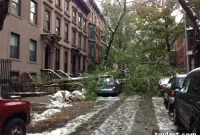 Toppled Giant Obstructs Heights Traffic