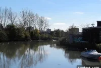 Sandy’s Wake: Riverkeeper’s Water Quality Deep Dive