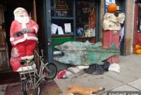 Red Hook Businesses Sound Alarm, Call for Patron Support