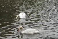 Tuesday Blog Roundup