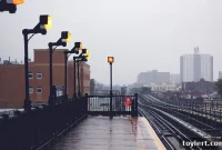 The Wednesday Download